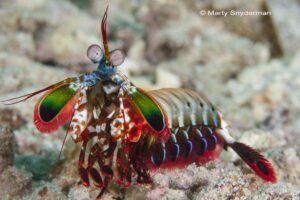 20140903 Slow And Easy Macro 01 340