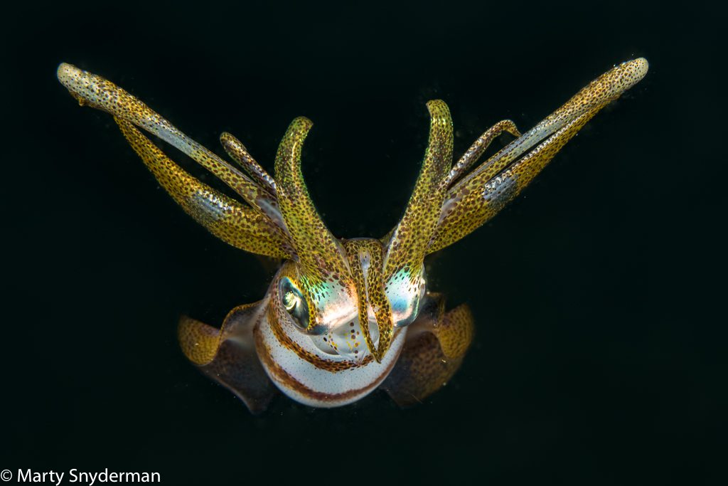 20160411 afternoon and night 03 Edit