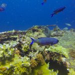 20307948564 61359d282f o