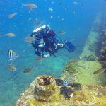 20904283236 8a5582e29d o