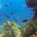 20937912771 e442a27c7f o