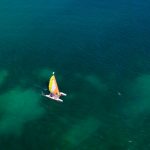 33802233748 b2fe0d4c0f o