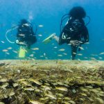 35689337412 b40d0bb634 o