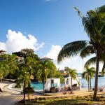 47626831982 120ccbee29 o