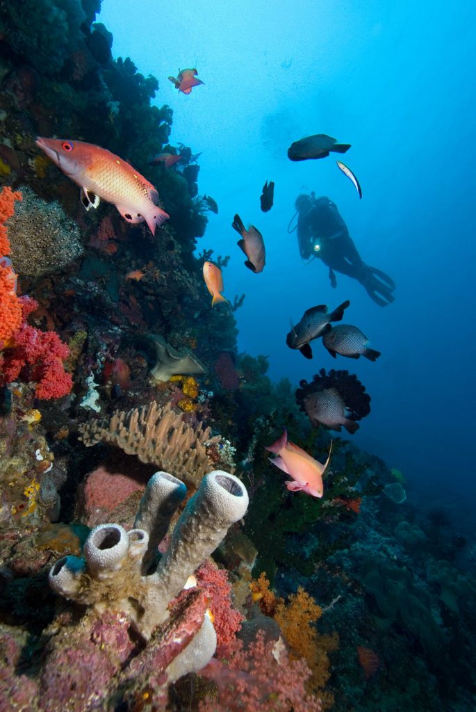 Gangga Island dive resort