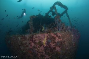 ARENUI Maluku AmbonBayWreck2