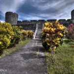 Arenui Boutique Liveaboard 53 ARENUI Maluku BandaFort
