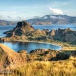 Adelaar Komodo Liveaboard