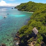 Apo Island aerial