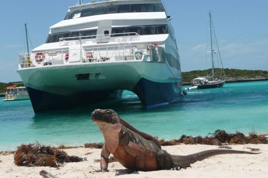 Aqua Cat Liveaboard SCUBA 1024x6821