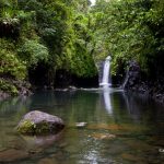 AquatrekTaveuni 276