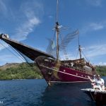 Arenui Boutique Liveaboard 12 Arenui