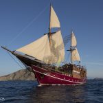 Arenui Boutique Liveaboard 15 Arenui