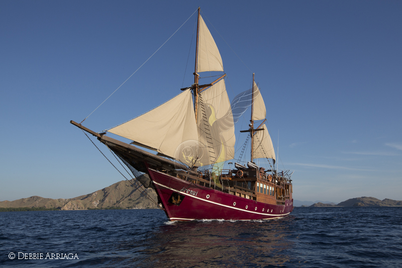Arenui BoatOnly 03