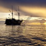 Arenui Boutique Liveaboard 16 Arenui