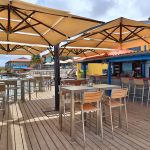 divi flamingo