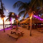 lions dive beach resort