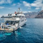 Belle Amie shark operations Guadalupe 001 min