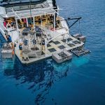Nautilus Dive Adventures
