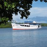 Bilikiki Cruises