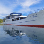 Bilikiki Cruises