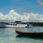 Bilikiki Cruises