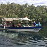 Boat at Mangroves
