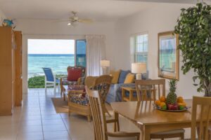 Condo Living Room