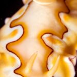 Manta Ray Bay Resort 39 DSC 5956