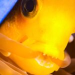 Manta Ray Bay Resort 38 DSC 9927