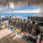 Dive Deck 3