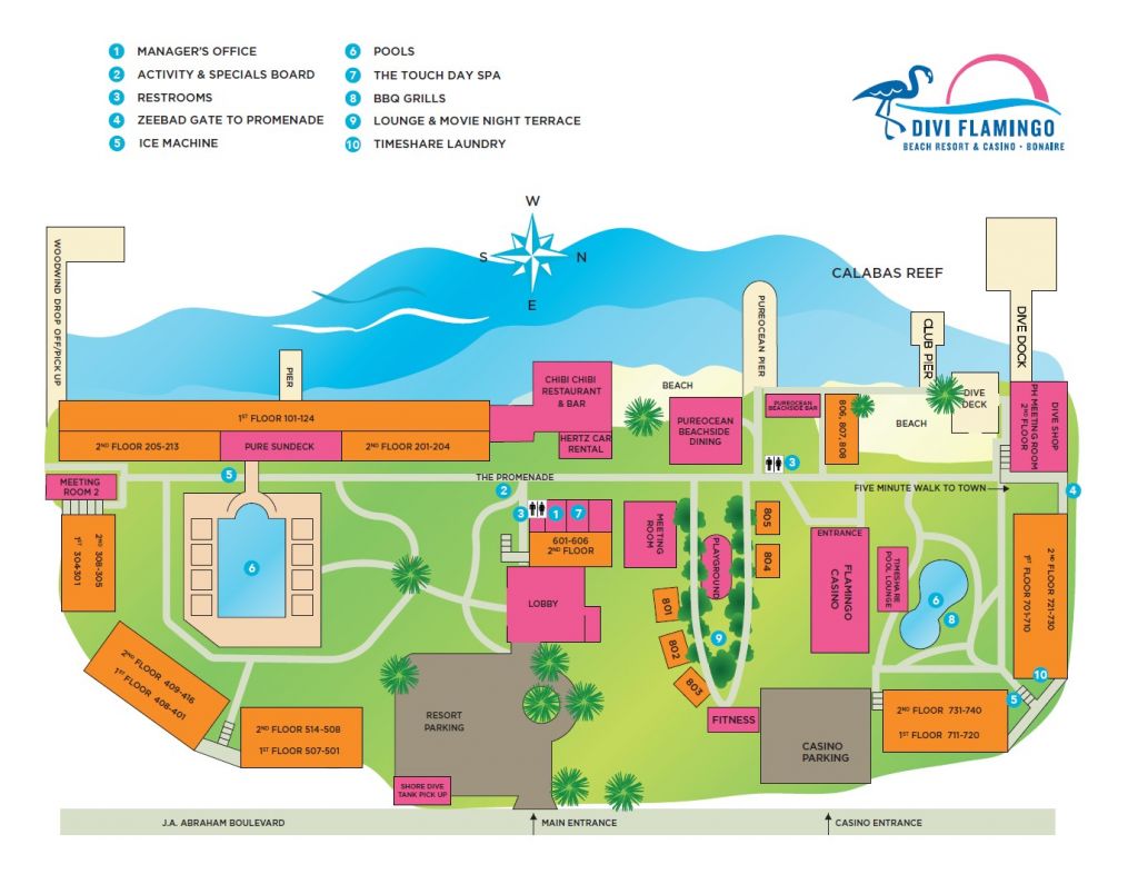 Divi map 1