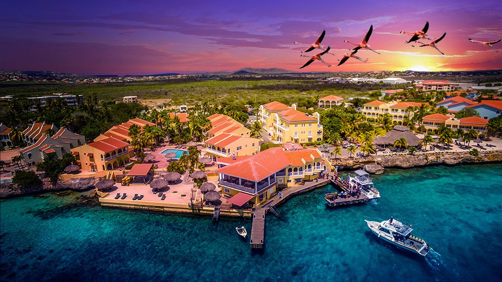 Buddy Dive Resort