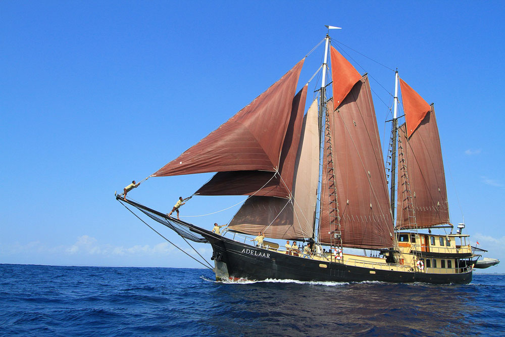 Adelaar Komodo Liveaboard