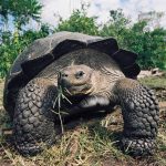 Galapagos Sky 25 Ecuador