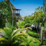 lions dive beach resort