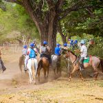 Horse Tours