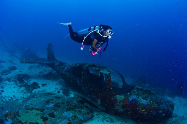 Home 1 Caribbean Dive Tours