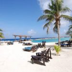 lions dive beach resort