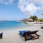 lions dive beach resort