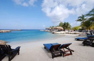 lions dive beach resort