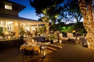 Ocean Club Resorts