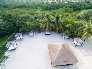 OCOZ VIEW 07