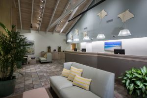 Ocean Club Resorts
