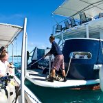 Ocean Hunter III