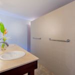 lions dive beach resort