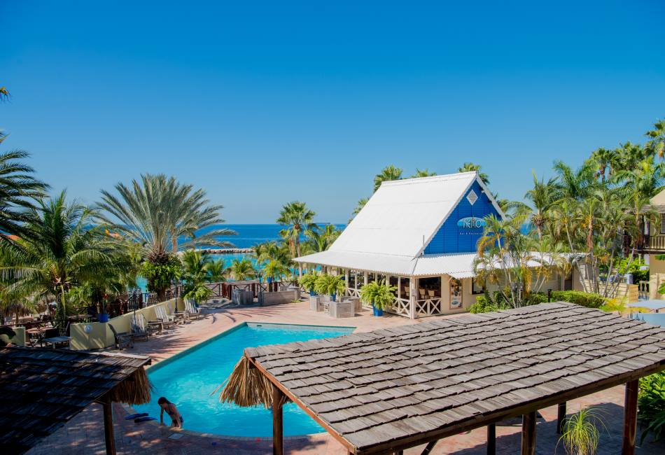 lions dive beach resort