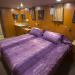 Odyssey Adventure 17 Odyssey king