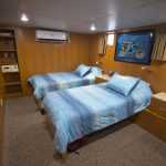 Odyssey Adventure 16 Odyssey twin rm