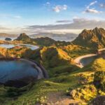 PADAR sequoia